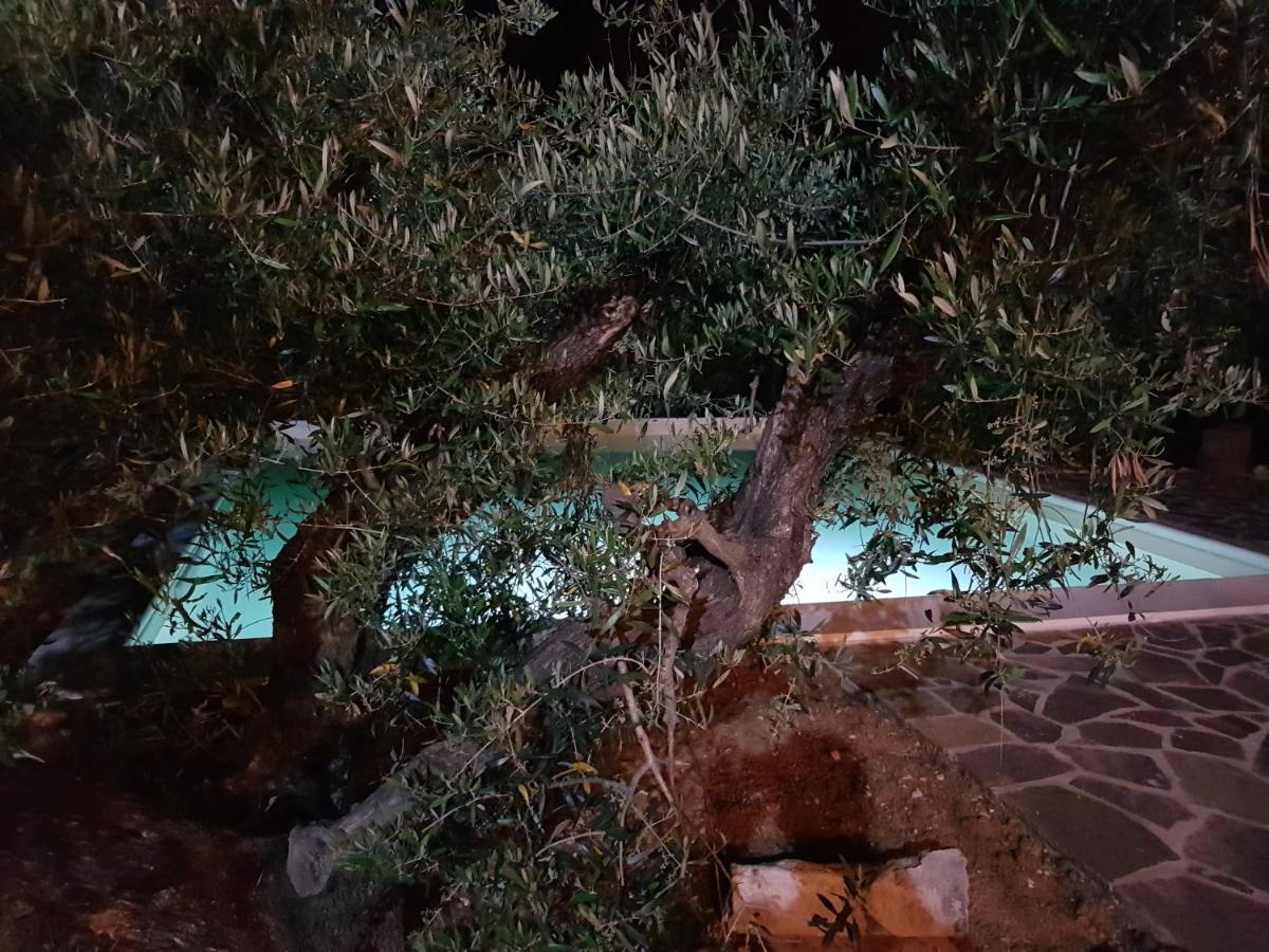 Il Panorama Apartman Montescudaio Kültér fotó